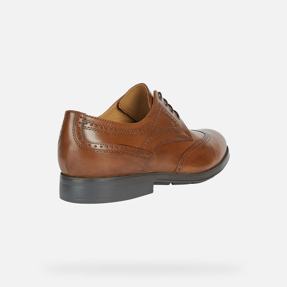 Sapatos Formais Geox Homem Marrom - Hilstone Wide - MKPBW3469